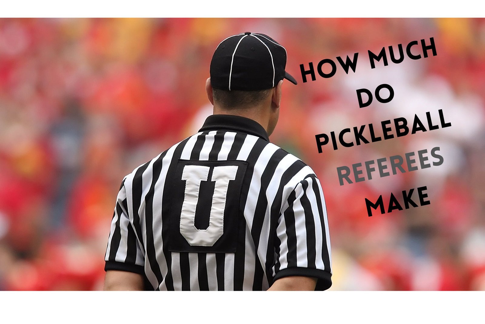 how much do pickleball referees make